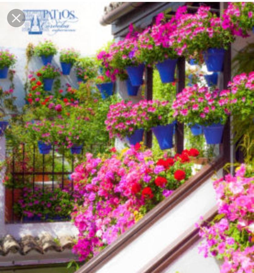 A 20 Metros De La Mezquita Catedral ,Apartamentos Turistico Cespedes 5 Córdoba Exterior foto