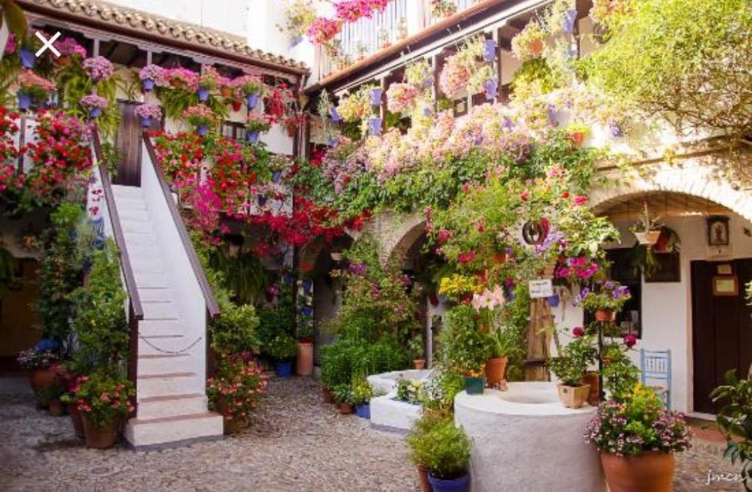 A 20 Metros De La Mezquita Catedral ,Apartamentos Turistico Cespedes 5 Córdoba Exterior foto