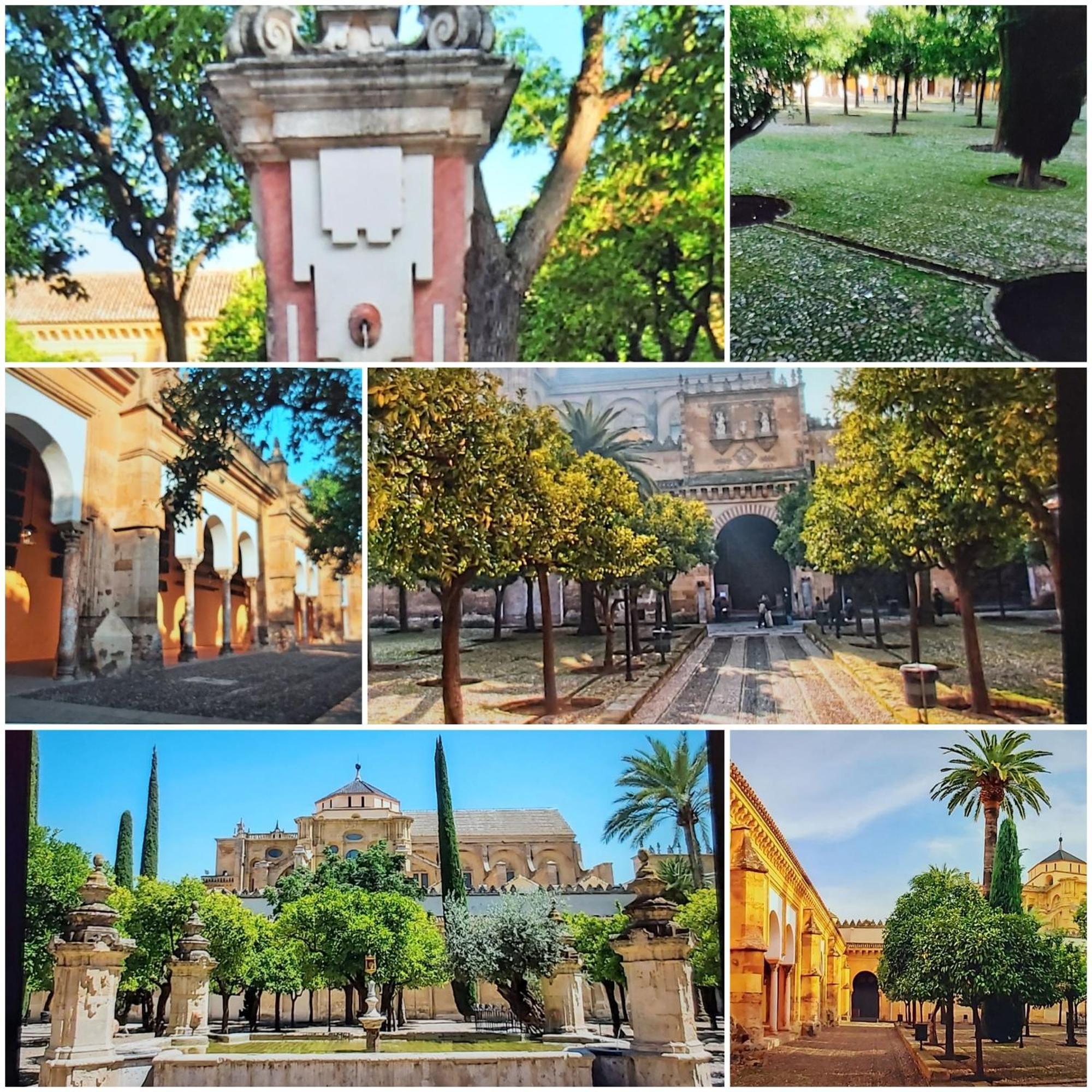 A 20 Metros De La Mezquita Catedral ,Apartamentos Turistico Cespedes 5 Córdoba Zimmer foto