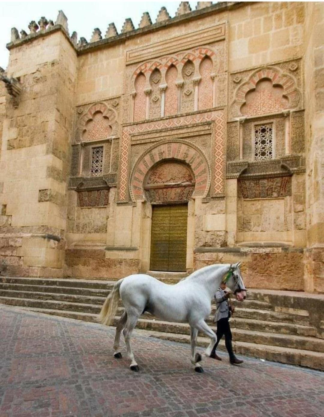 A 20 Metros De La Mezquita Catedral ,Apartamentos Turistico Cespedes 5 Córdoba Zimmer foto